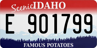 ID license plate E901799