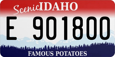 ID license plate E901800