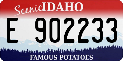 ID license plate E902233
