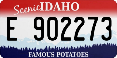 ID license plate E902273