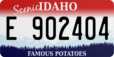 ID license plate E902404