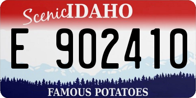 ID license plate E902410