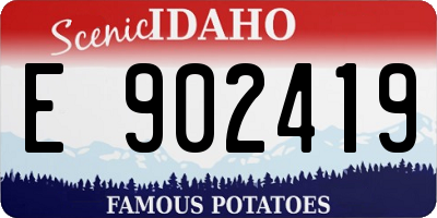 ID license plate E902419