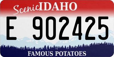 ID license plate E902425