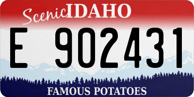 ID license plate E902431