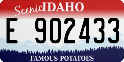 ID license plate E902433