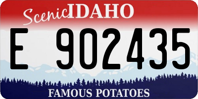 ID license plate E902435