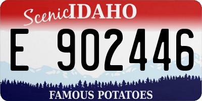 ID license plate E902446