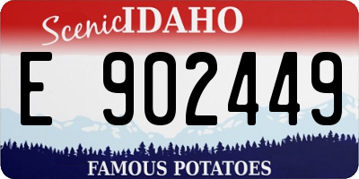 ID license plate E902449