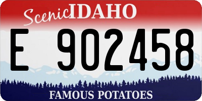 ID license plate E902458