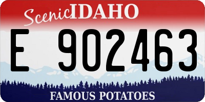 ID license plate E902463