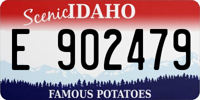 ID license plate E902479