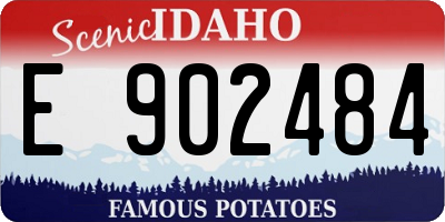 ID license plate E902484