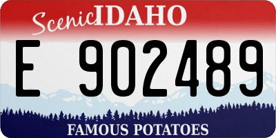 ID license plate E902489