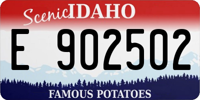 ID license plate E902502