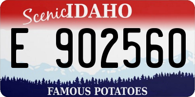 ID license plate E902560