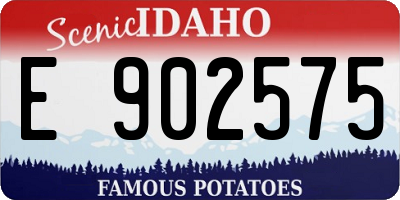ID license plate E902575