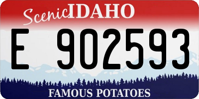 ID license plate E902593