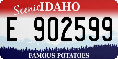 ID license plate E902599