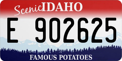 ID license plate E902625