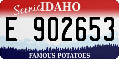 ID license plate E902653
