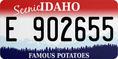 ID license plate E902655