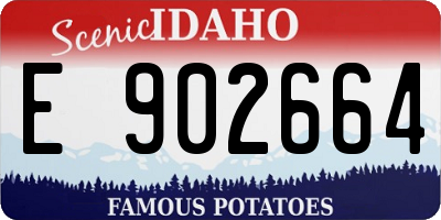ID license plate E902664