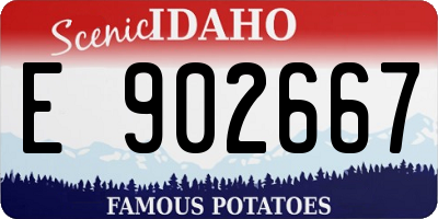 ID license plate E902667