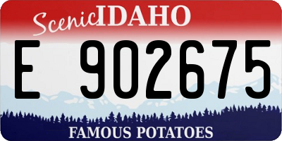 ID license plate E902675