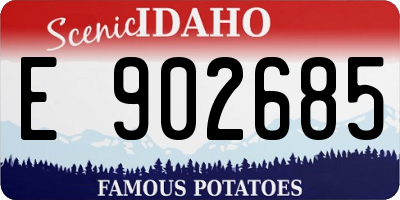 ID license plate E902685