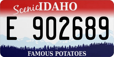 ID license plate E902689