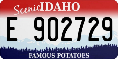 ID license plate E902729
