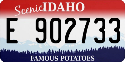 ID license plate E902733