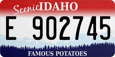 ID license plate E902745