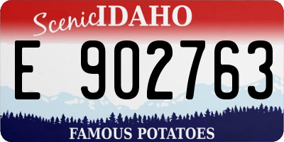 ID license plate E902763