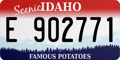 ID license plate E902771