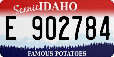 ID license plate E902784