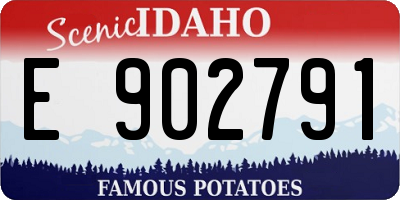 ID license plate E902791
