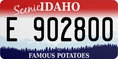 ID license plate E902800