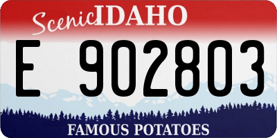 ID license plate E902803