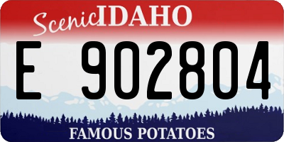 ID license plate E902804
