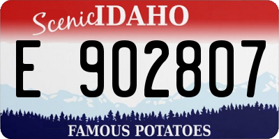 ID license plate E902807