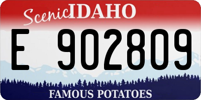 ID license plate E902809