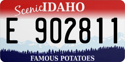 ID license plate E902811