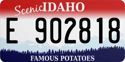 ID license plate E902818