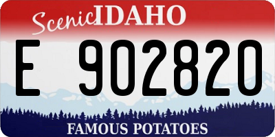 ID license plate E902820