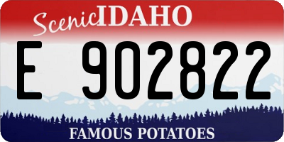 ID license plate E902822