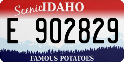 ID license plate E902829