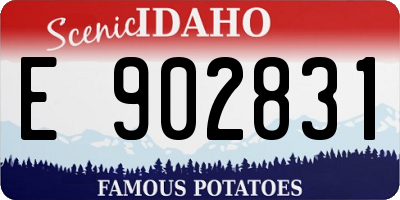 ID license plate E902831