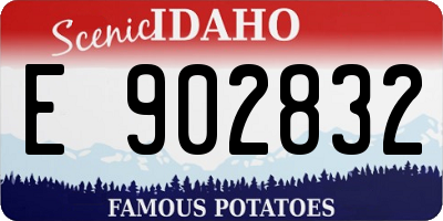 ID license plate E902832